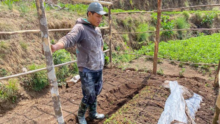 HDFA-Ghunsa-Farm-1-1200px