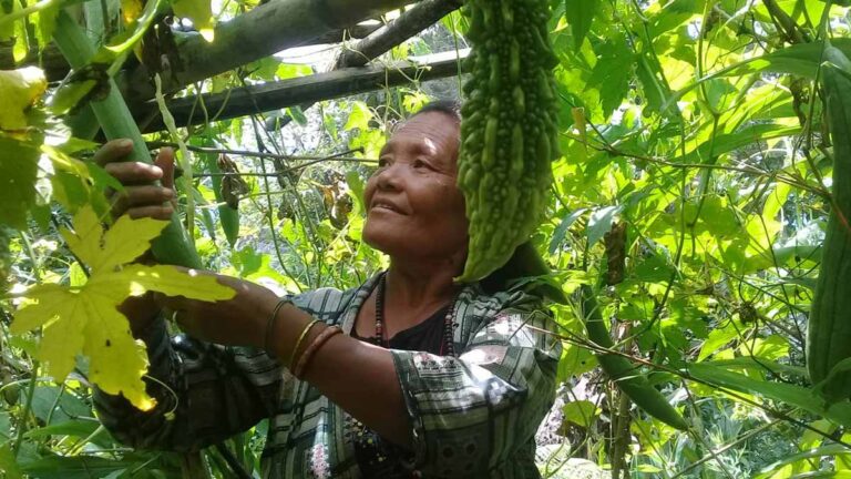 HDFA-Indrawati-Gardens.1200px